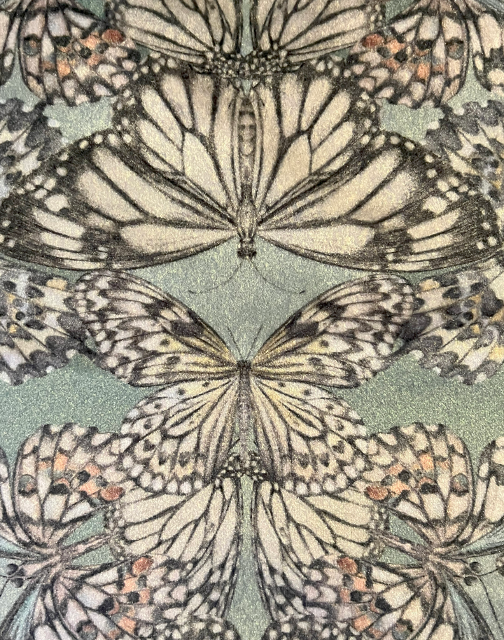 Papilio, Eau de Nil - Medium Pile Velvet