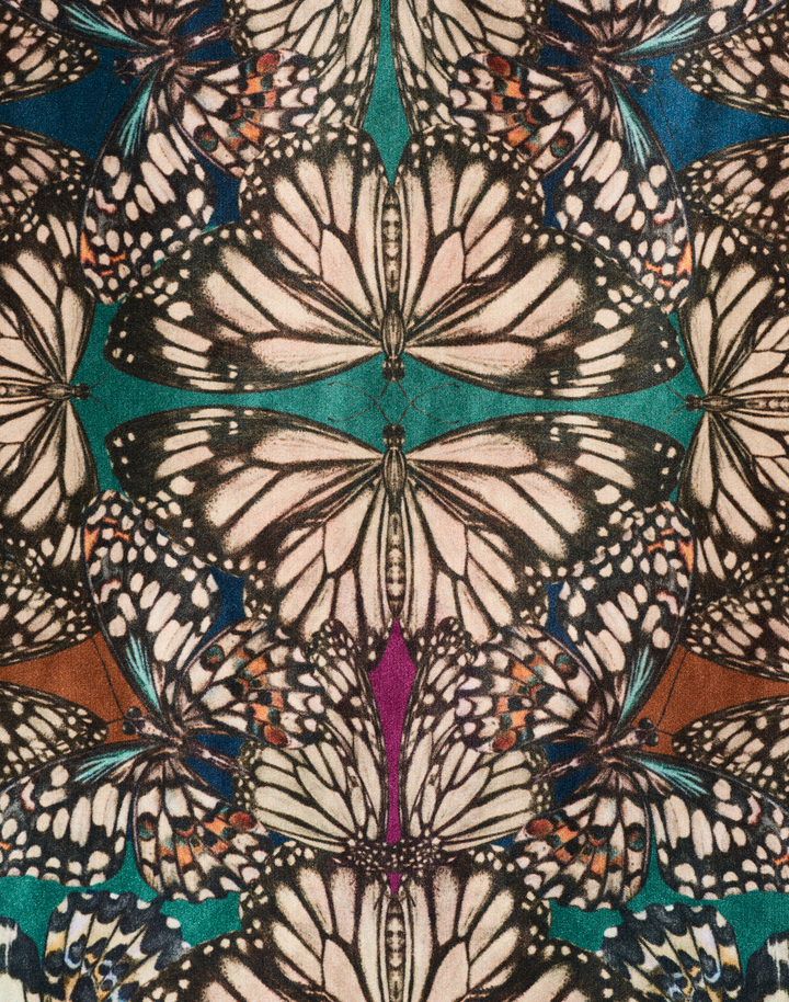 Papilio, Jewel - Medium Pile Velvet