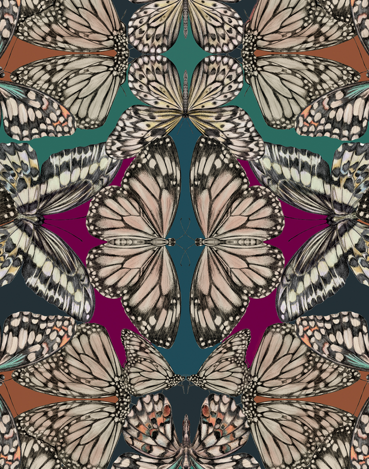 Papilio, Jewel