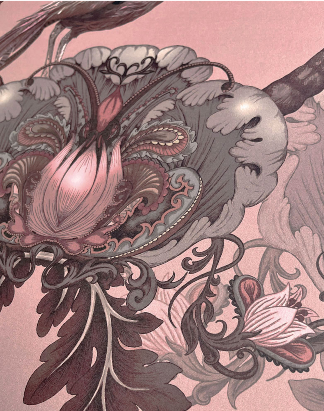 Parade of Plumes, Rose Macaron