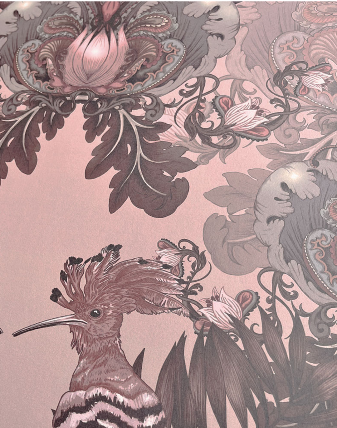 Parade of Plumes, Rose Macaron
