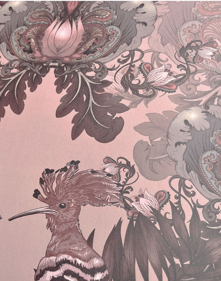 Parade of Plumes, Rose Macaron