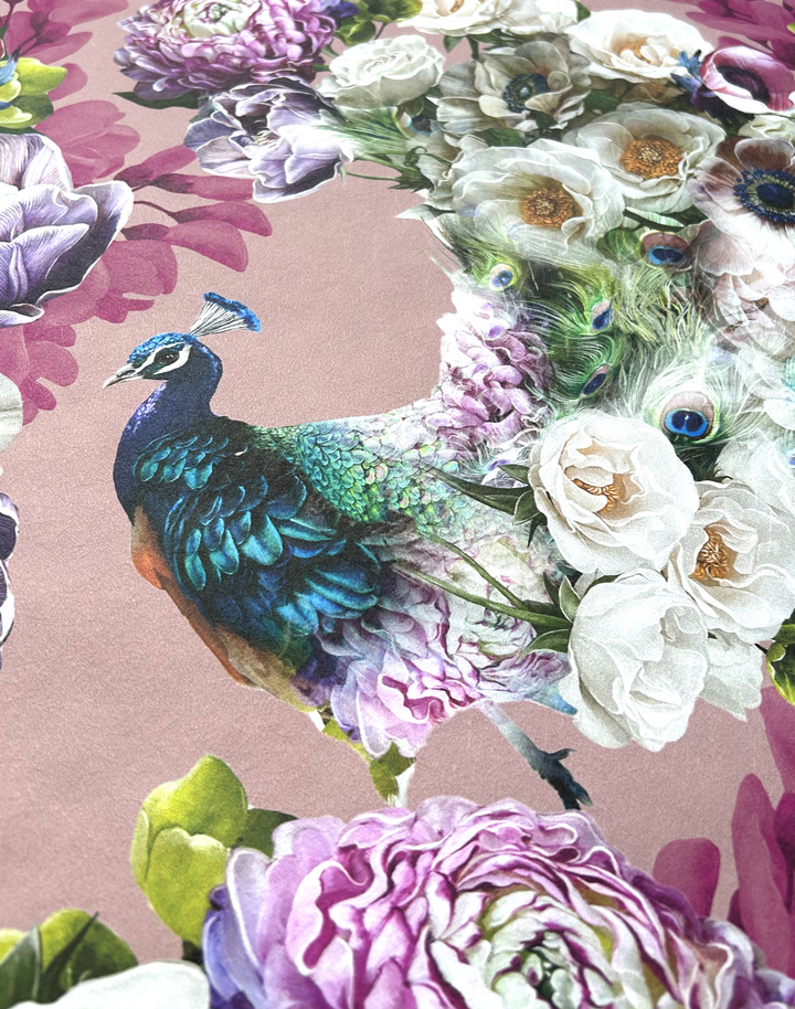 Peacock, Rose