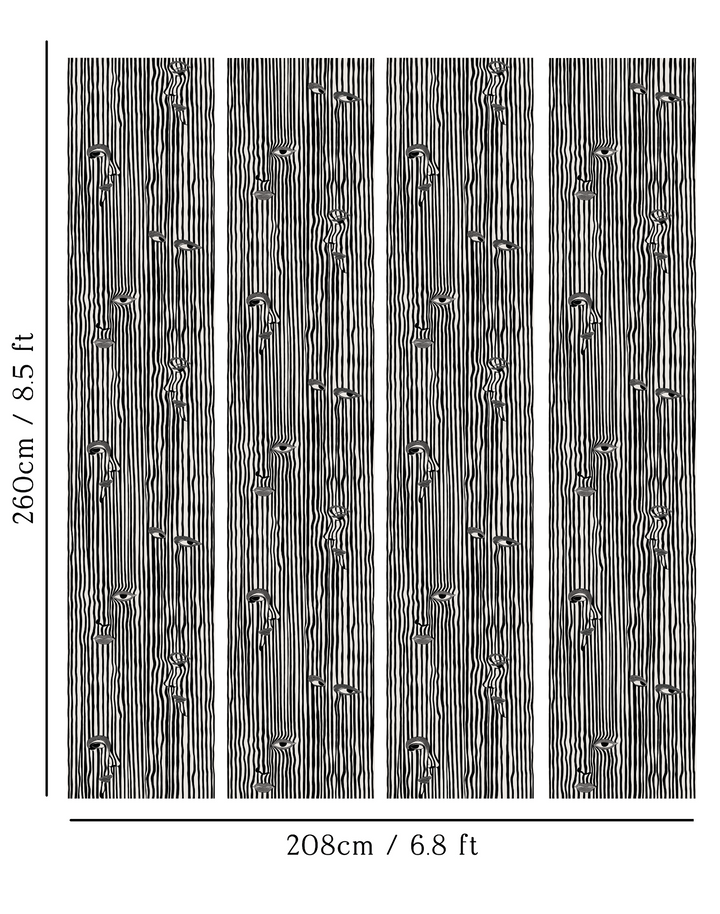 Picasso Stripe, Black