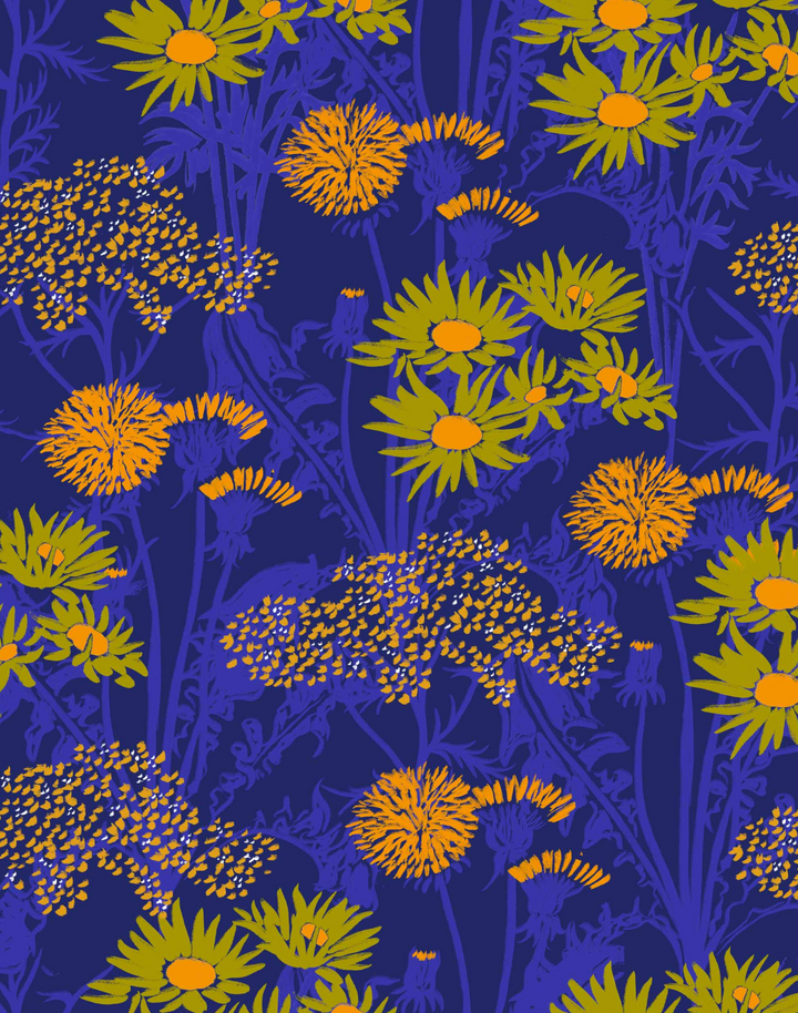 Picnic, Cobalt C00104N