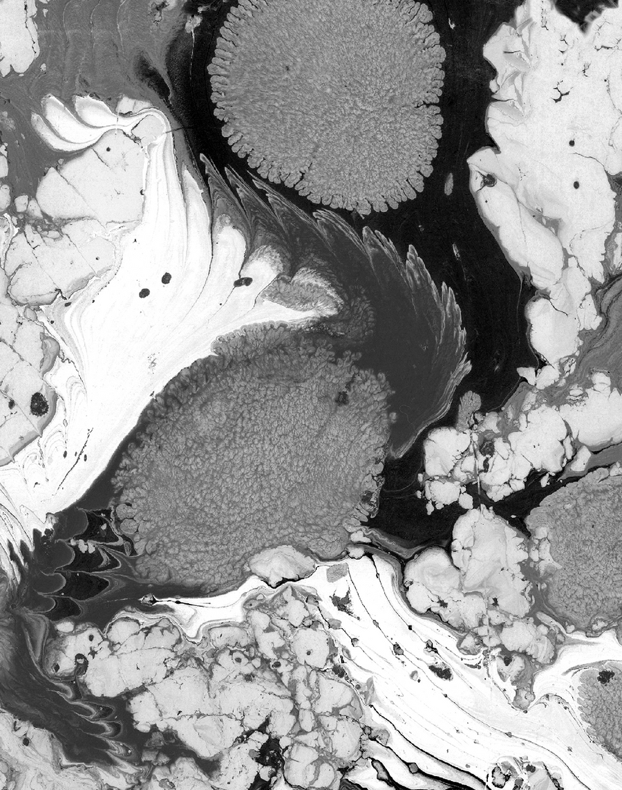 Wallpaper at The Pattern Collective – Tagged “wallpaper”– Page 8