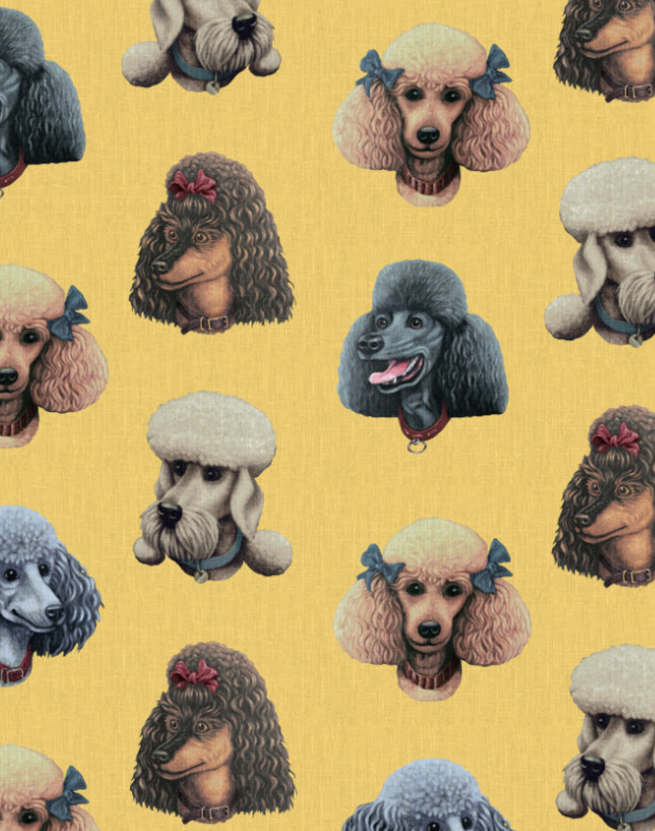 Poodle Parlour, Retro