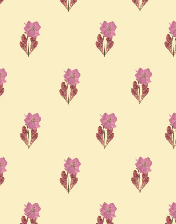 Primavera, Beige