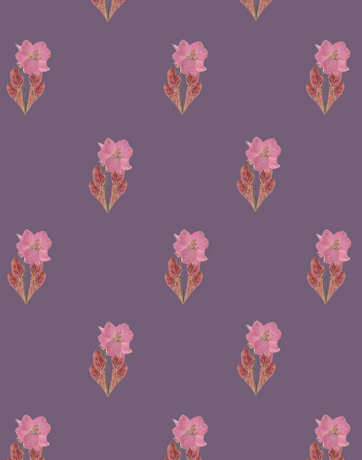 Primavera, Purple