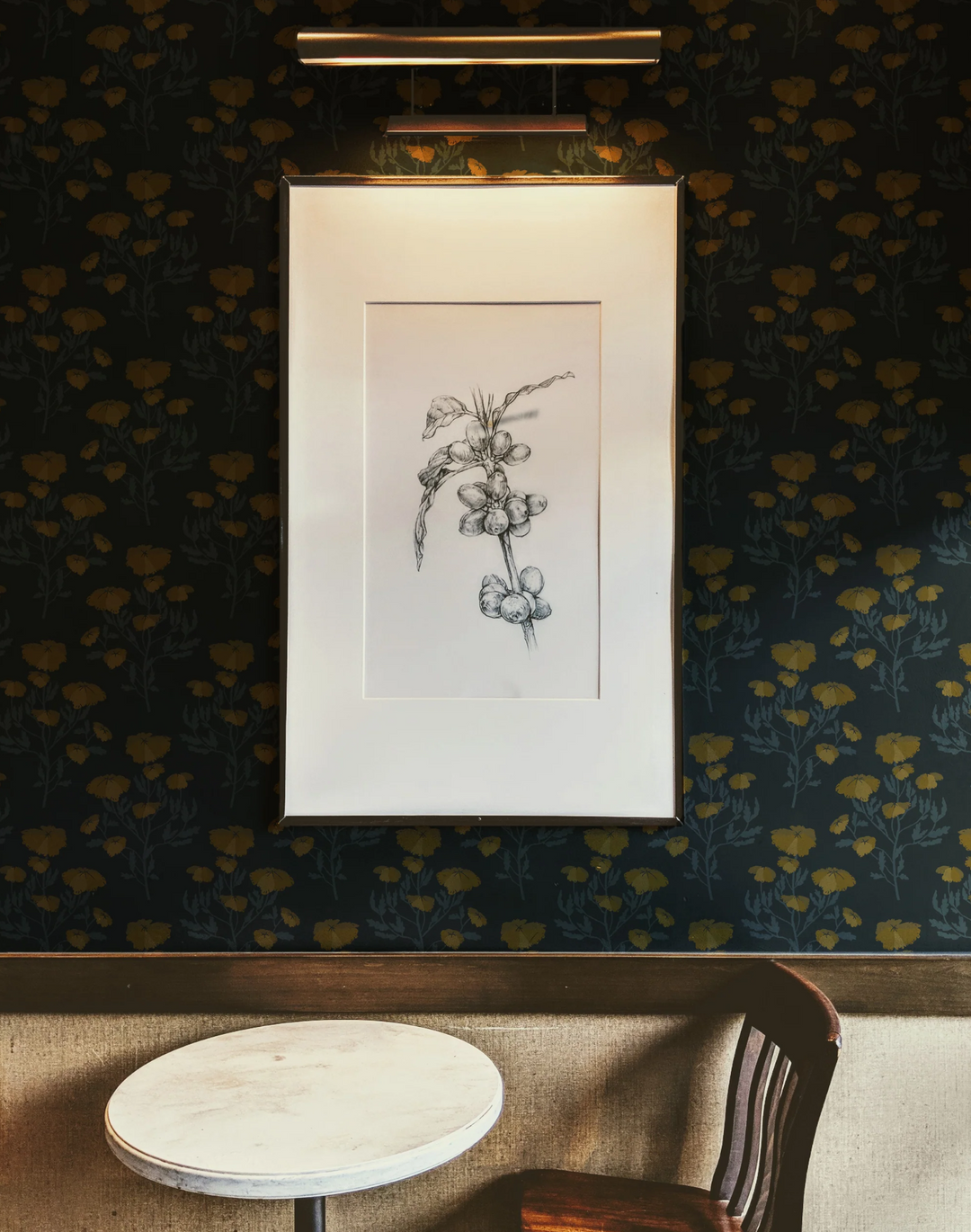 Primrose, Charcoal