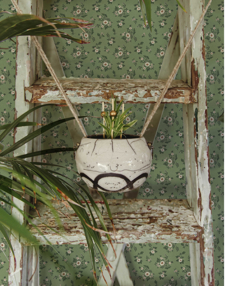 Primrose, Rustic Olive