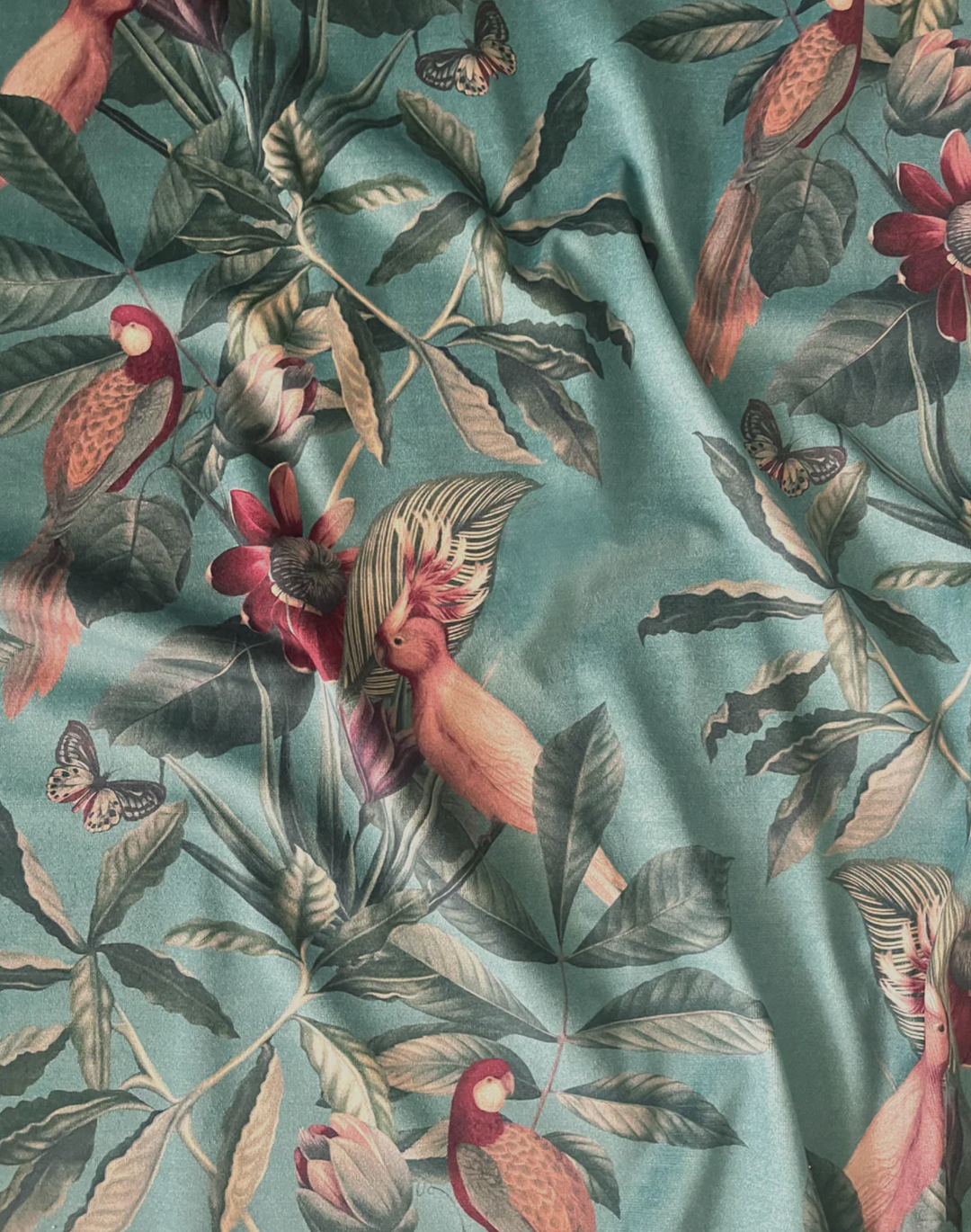 Passiflora Velvet Fabric, Vardo