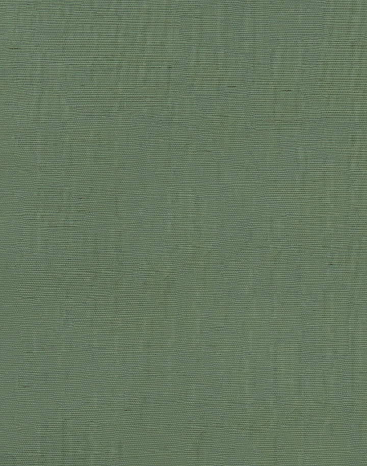 Quiet Green Grasscloth WPLC0633