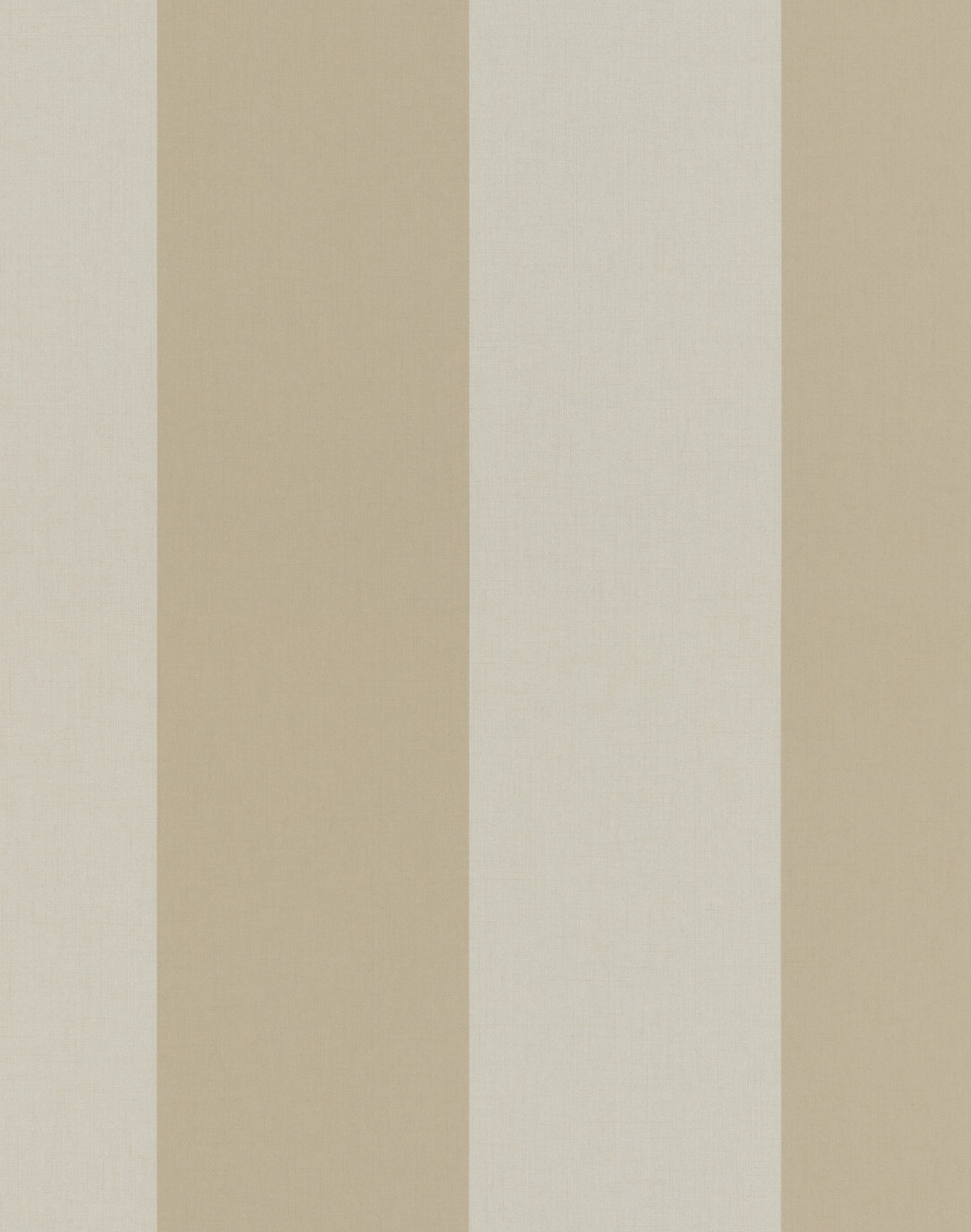 Colour Theme Reed Reed Lineup – The Pattern Collective