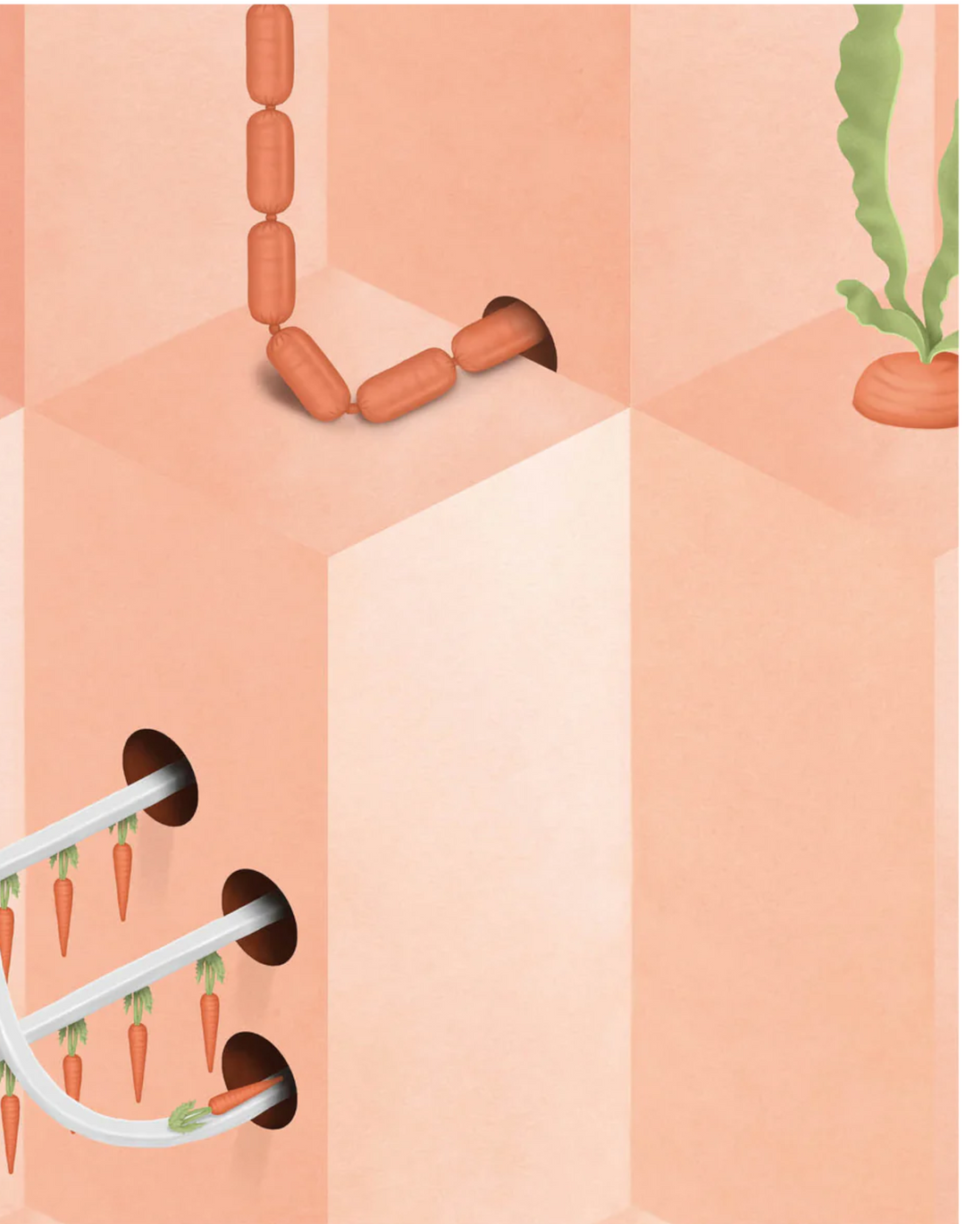 SUZ-01 Pink Carrot by Susan Hijink