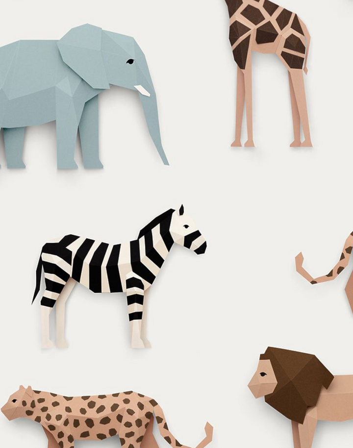 Safari