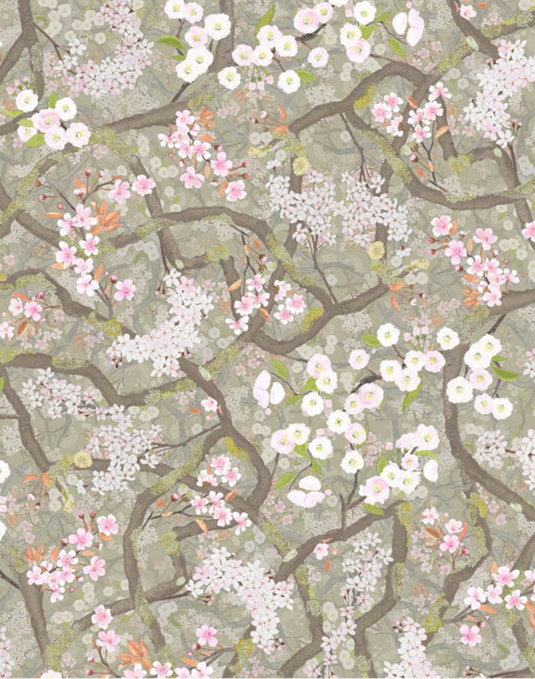 Sakura, Clay