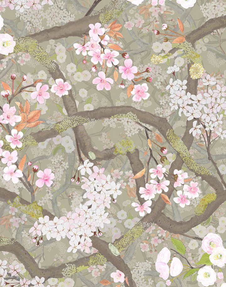 Sakura, Clay