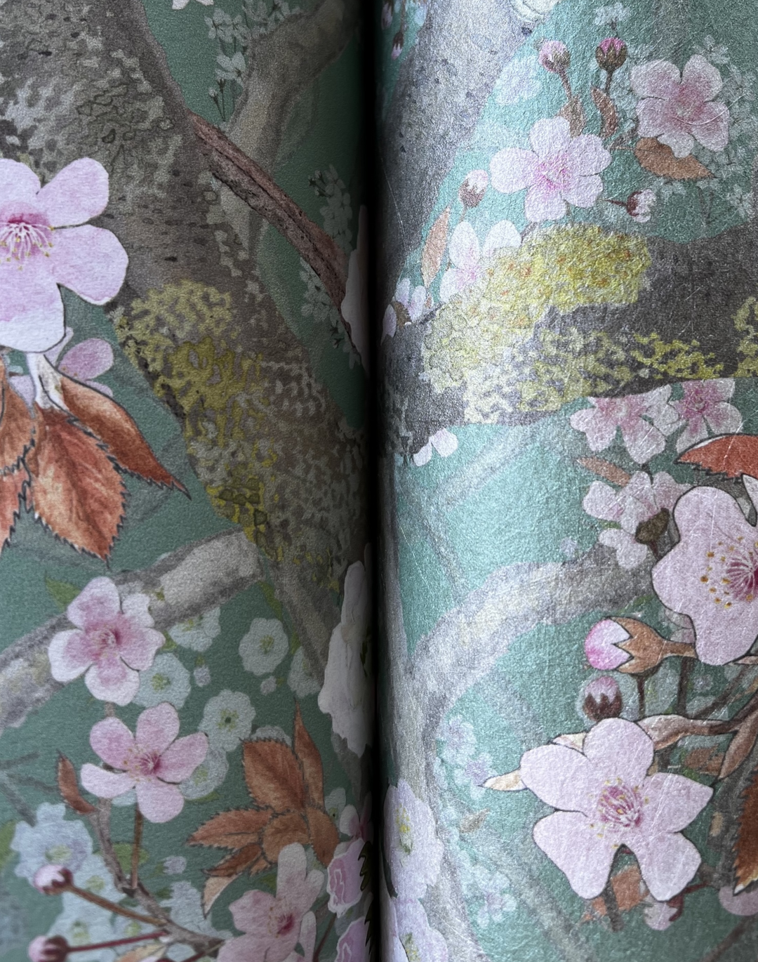 Sakura, Jade
