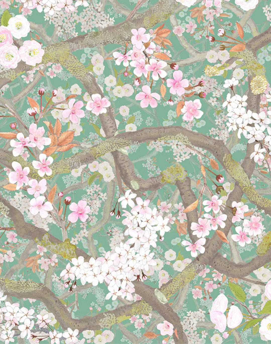 Sakura, Jade