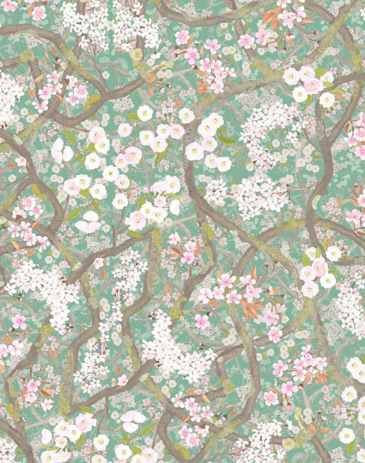 Sakura, Jade