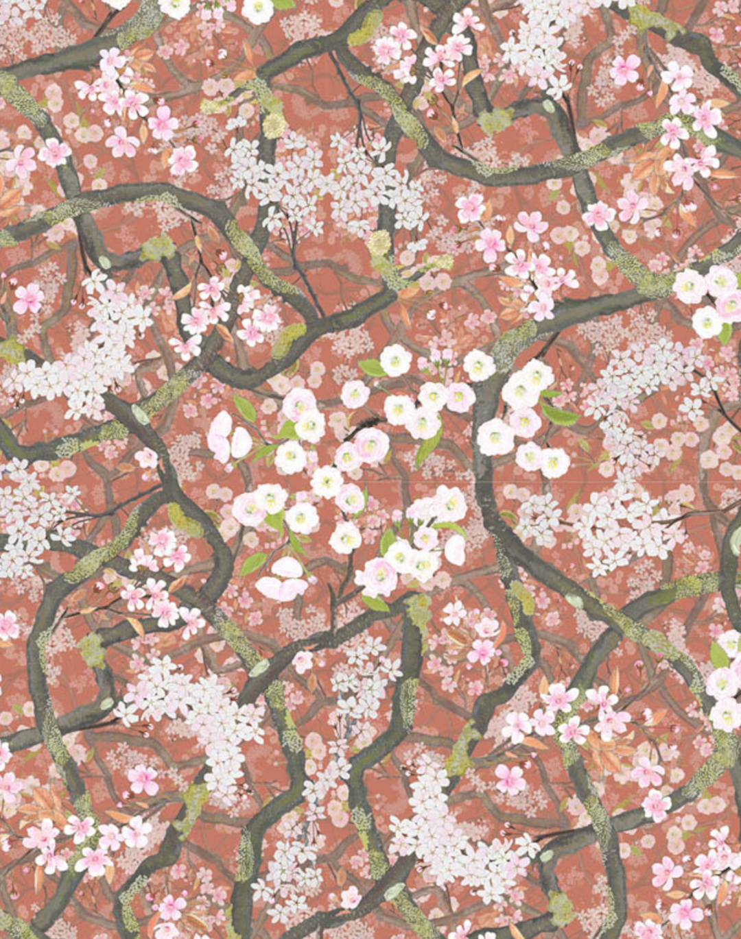 Sakura, Kimono Red