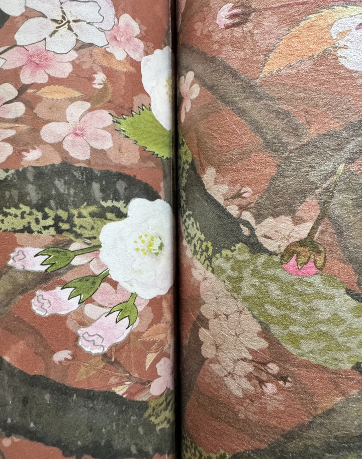 Sakura, Kimono Red