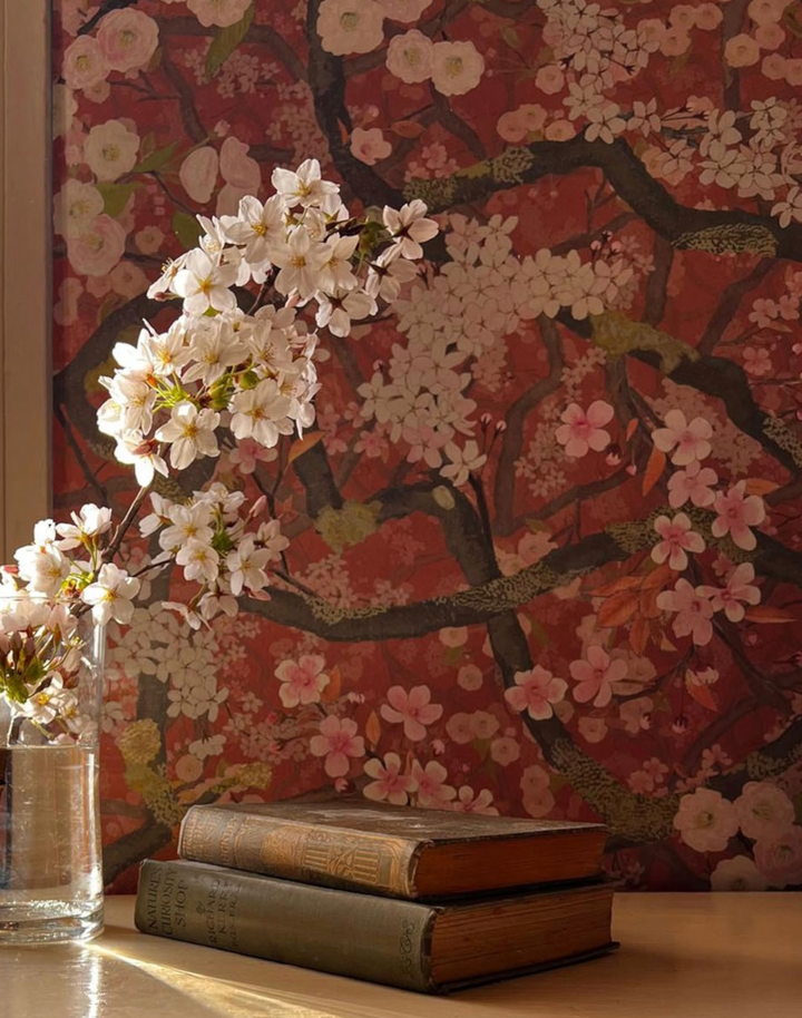 Sakura, Kimono Red