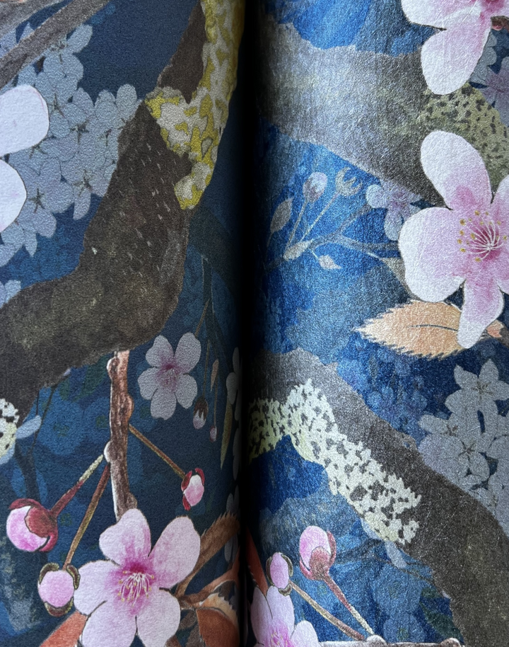 Sakura, Lazuli