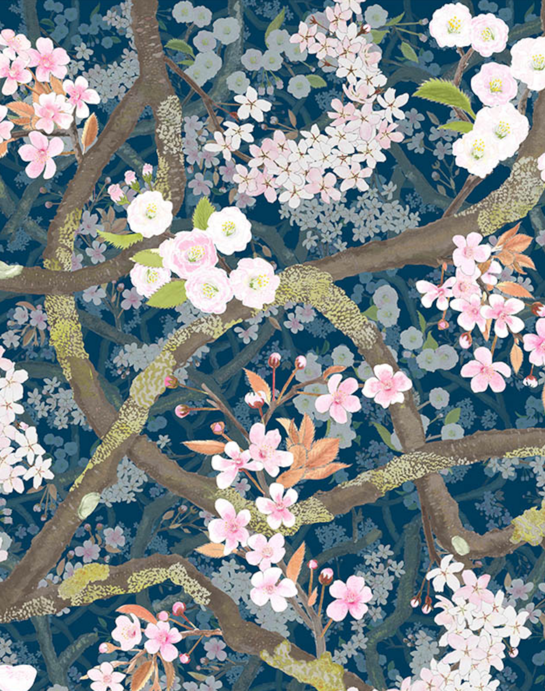Sakura, Lazuli
