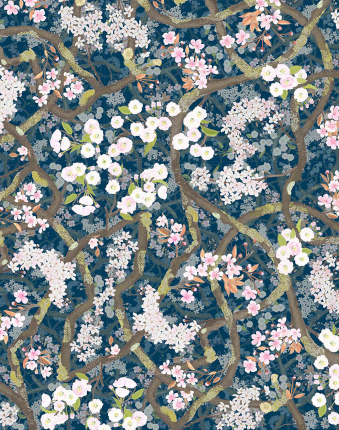 Sakura, Lazuli
