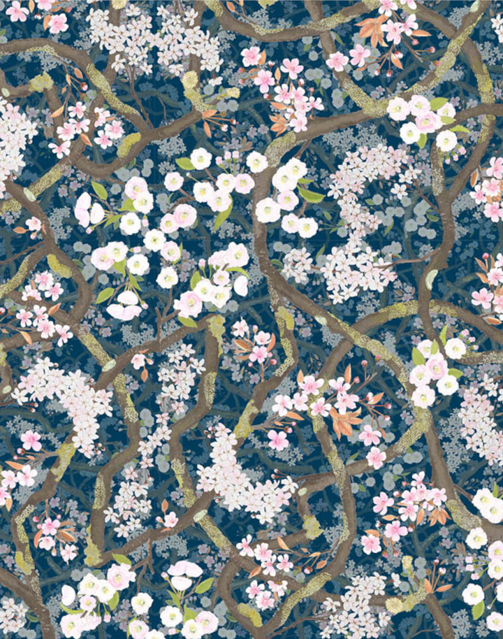 Sakura, Lazuli