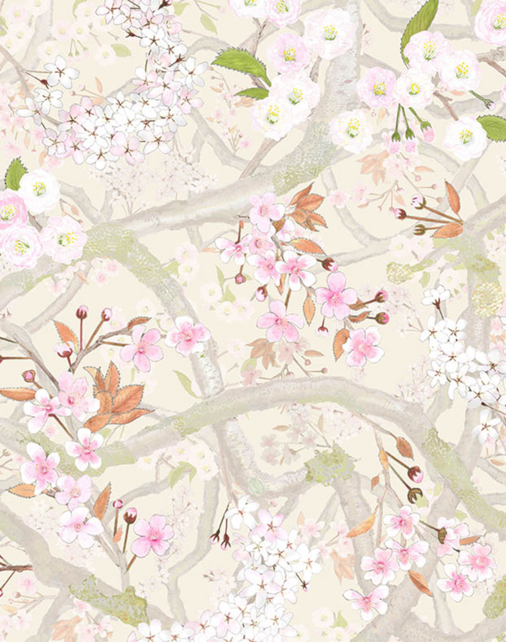 Sakura, Lychee
