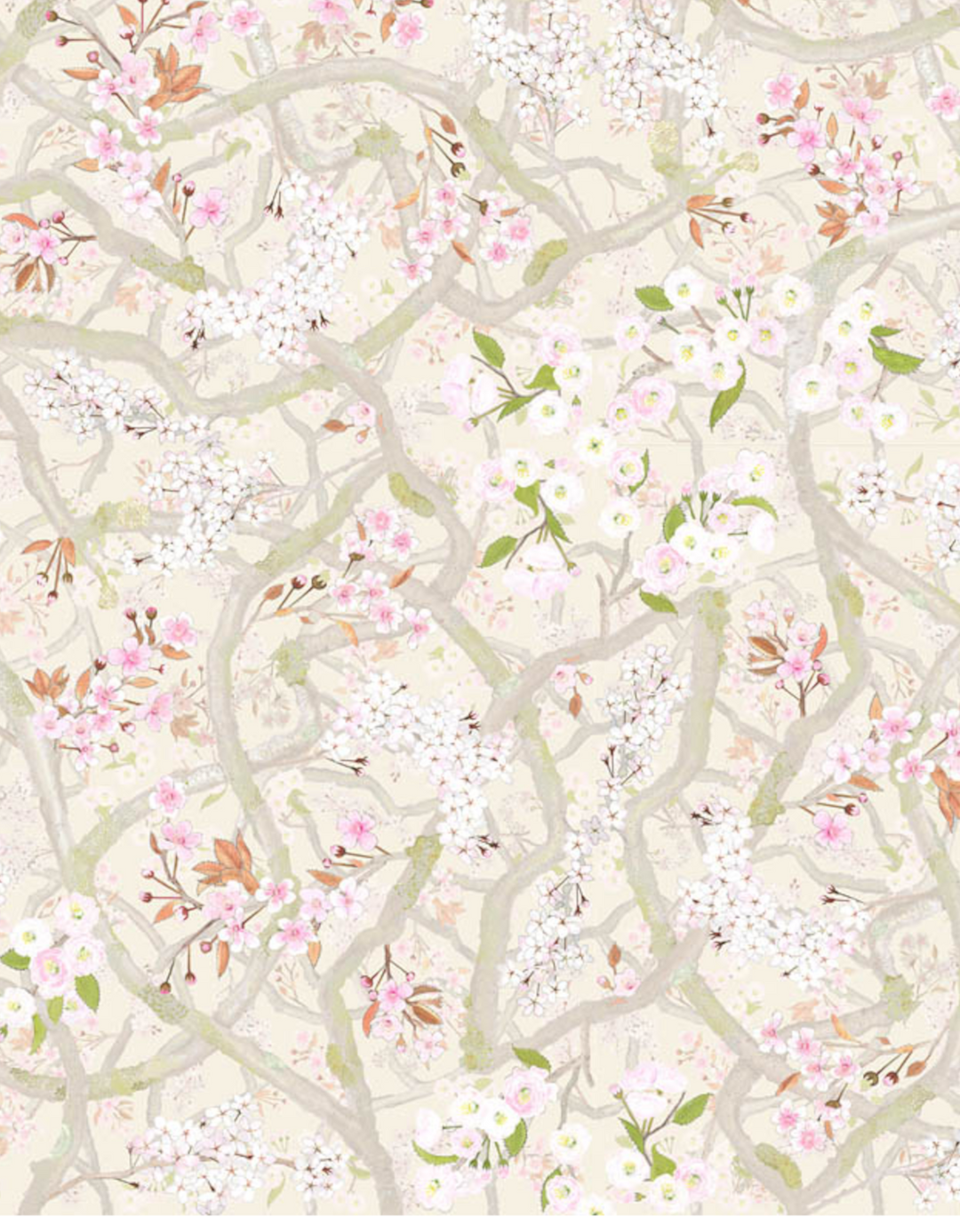 Sakura, Lychee