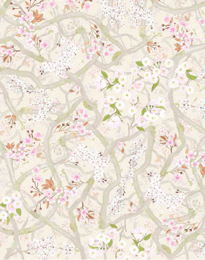 Sakura, Lychee