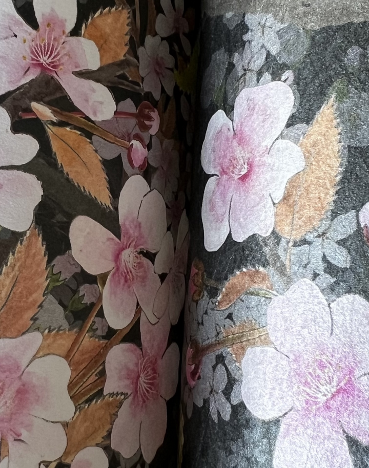 Sakura, Obsidian