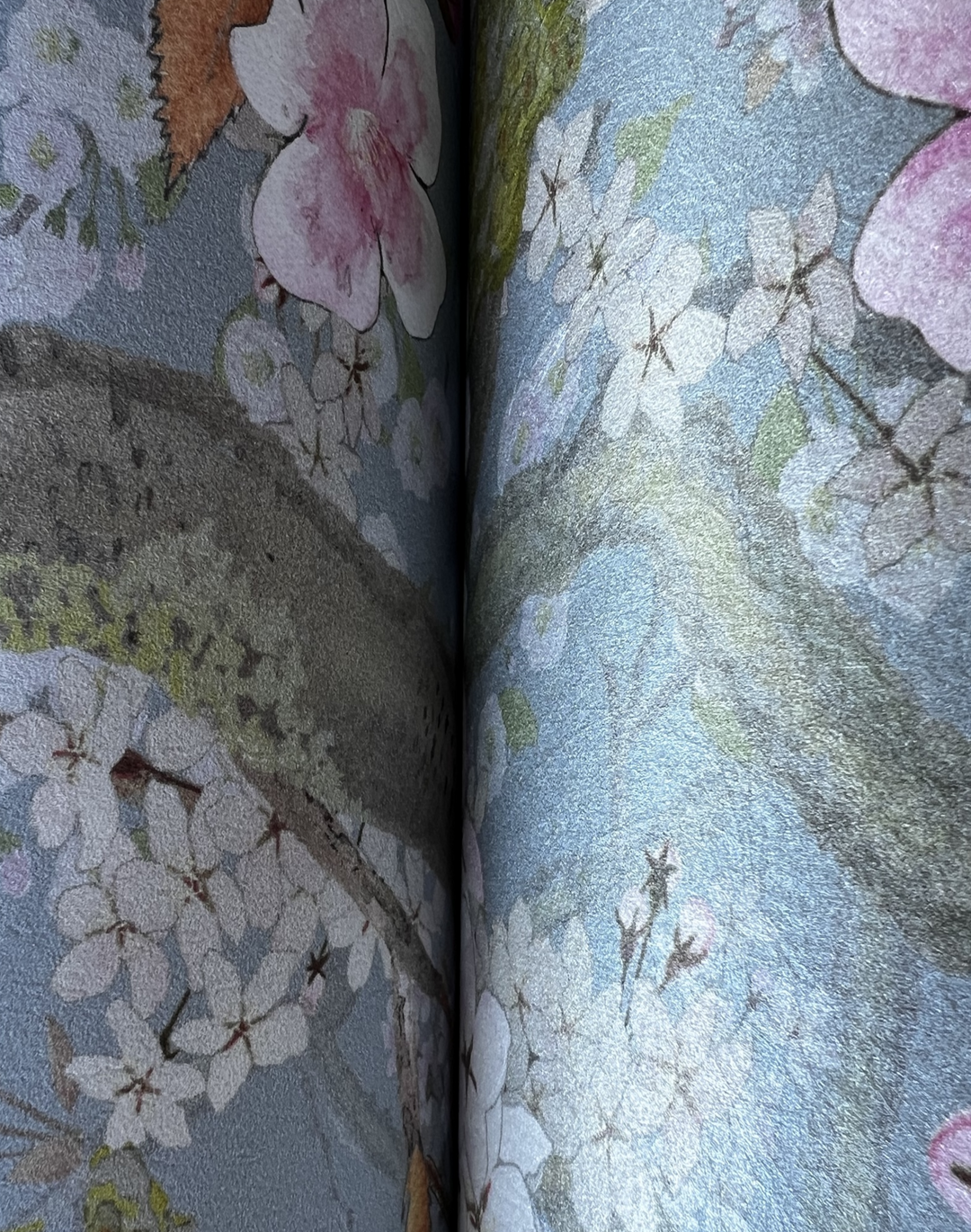 Sakura, Opal