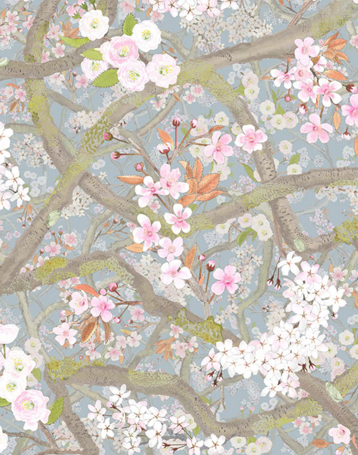 Sakura, Opal