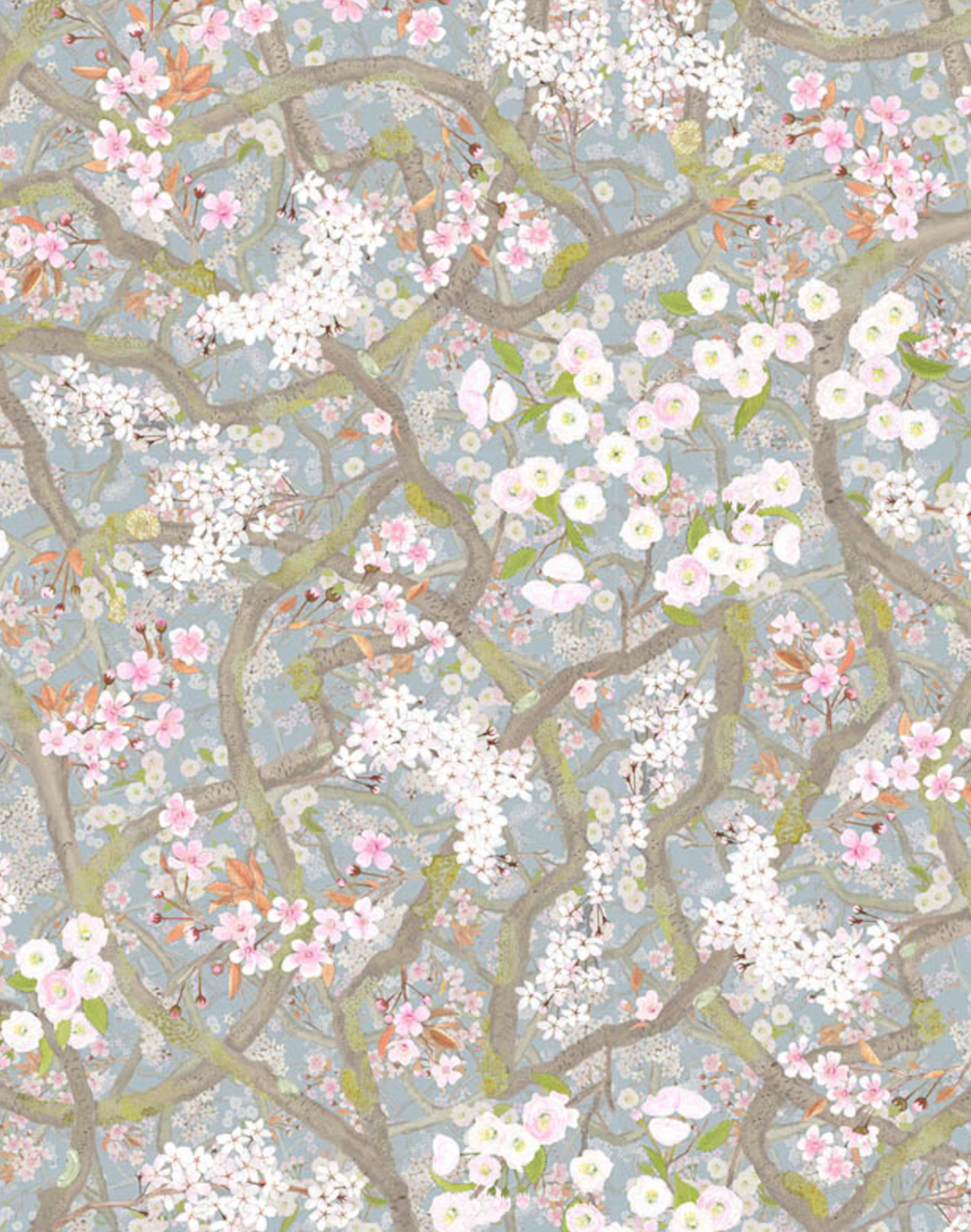 Sakura, Opal