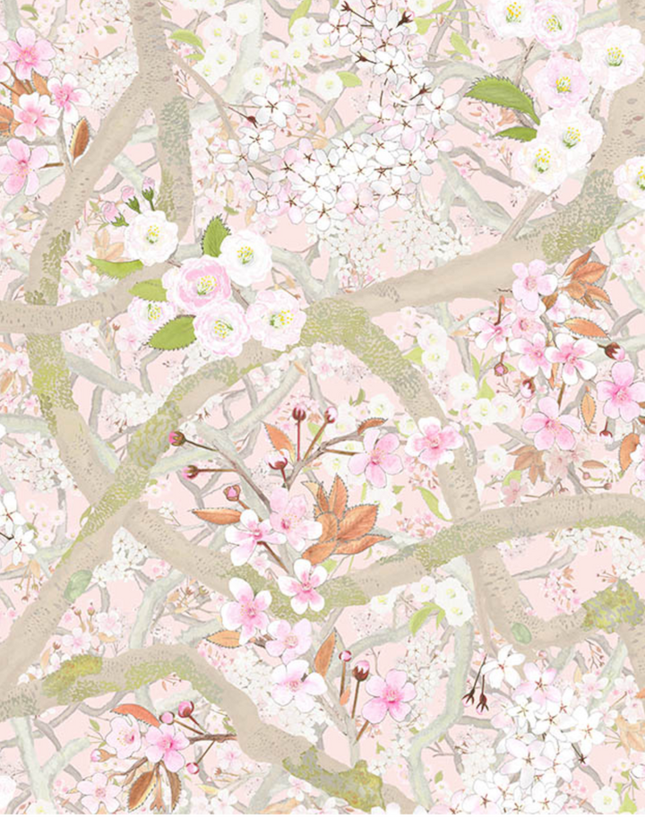 Sakura, Rose Quartz