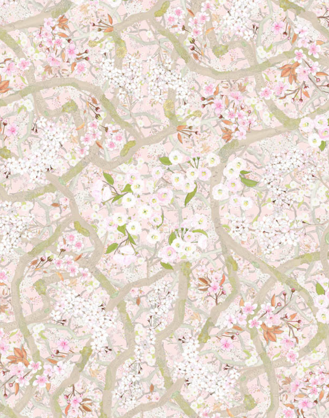 Sakura, Rose Quartz