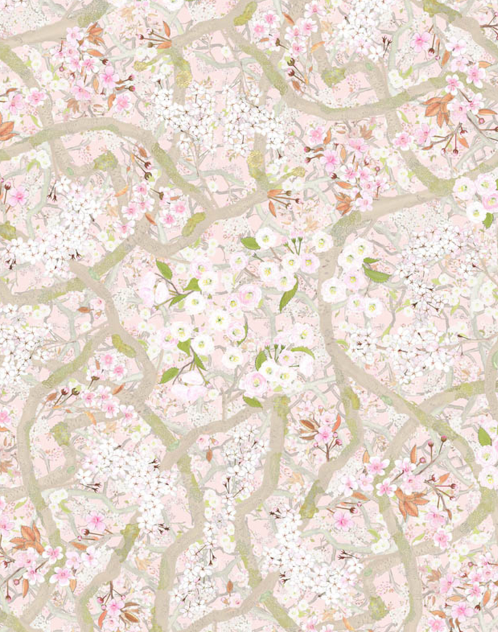Sakura, Rose Quartz