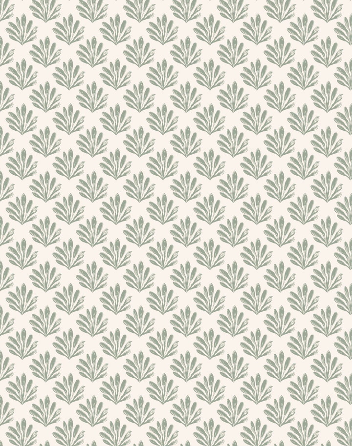 Sea Beech, Sage on White