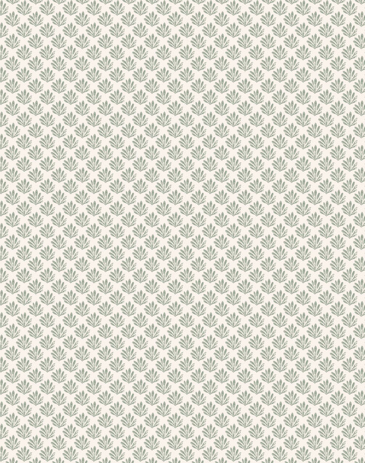 Sea Beech, Sage on White