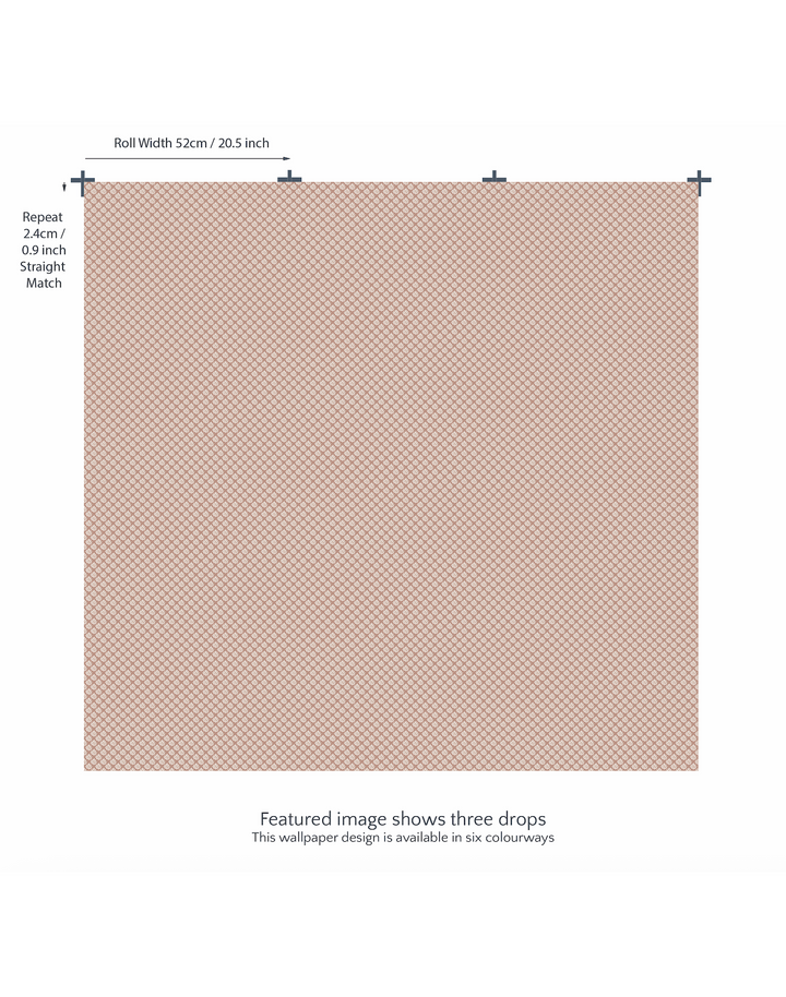 Sea Beech, Russet on White