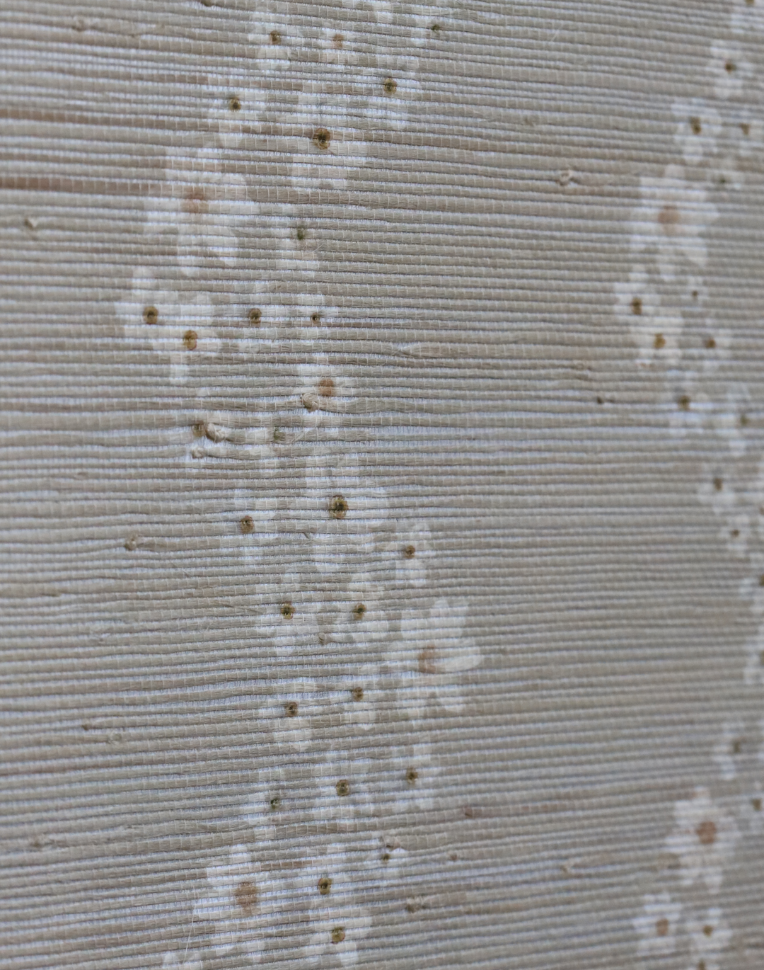 Seashells Scallop Grasscloth, Sand
