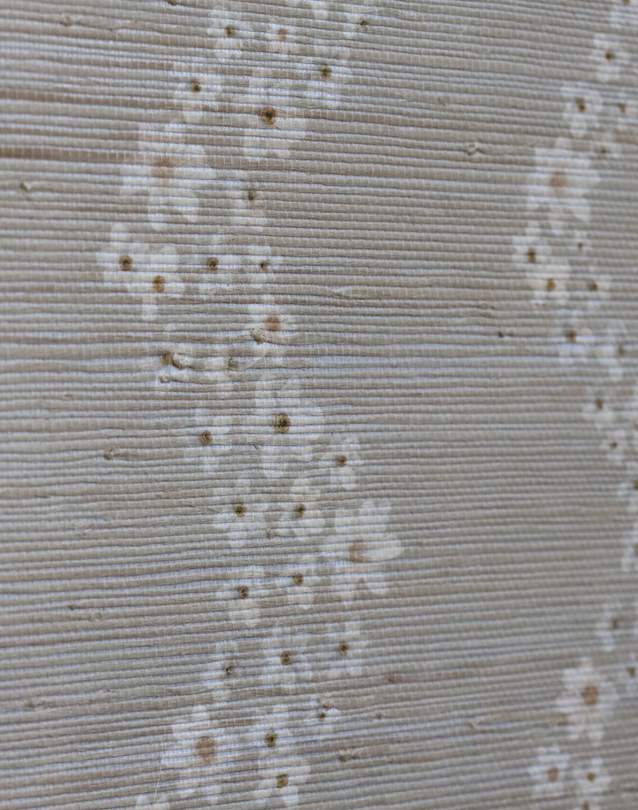 Seashells Scallop Grasscloth, Sand