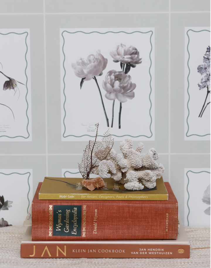Seed Packet, Pumice