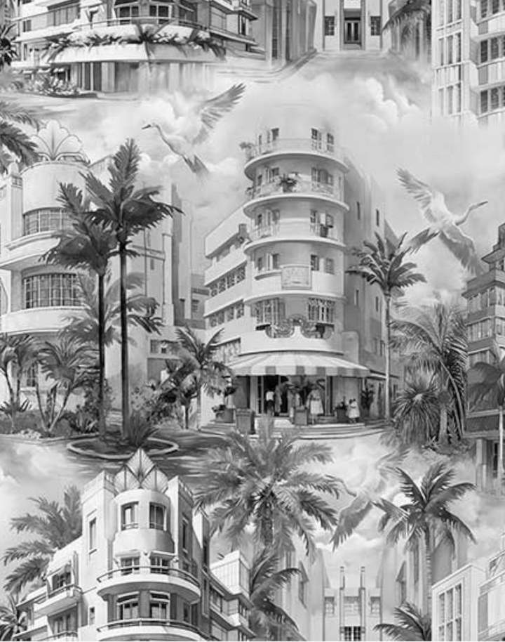 South Beach Dreams, Monotone Black & White