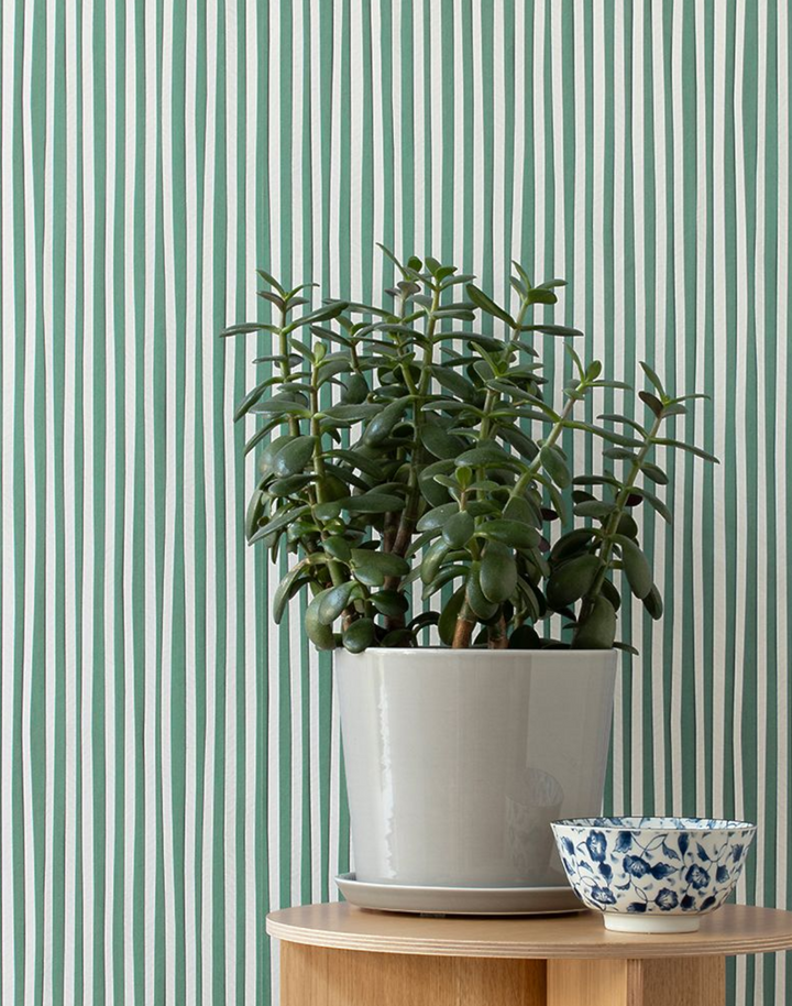 Stripes, Jade